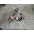 Kép 1/4 - Renault 1.5 DCI Turbó könyökcső
