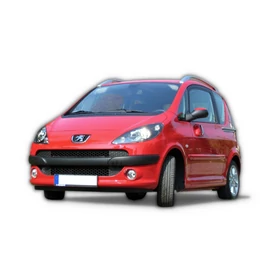 1007 (2005-2009)
